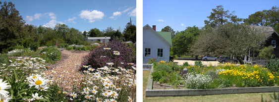 A Village Garden