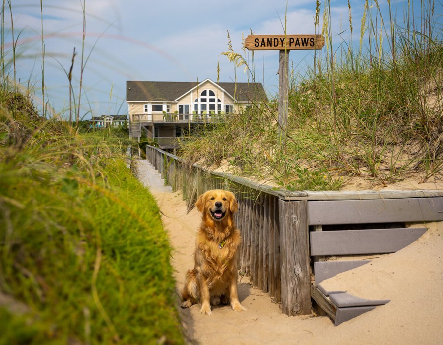 Pet Friendly Outer Banks (OBX) Vacation Rentals Twiddy